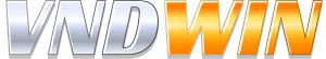 vndwin-logo